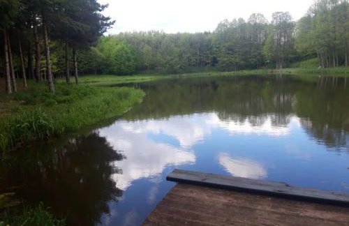 Oaza Las Zagozd 2 - Foto 9