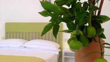 Masseria Corte degli Asini - Foto 5