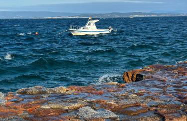 Apartamento Estrellas de Mar - Foto 23