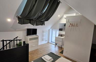 Gite le Magnolia entre Loire et châteaux - Foto 52