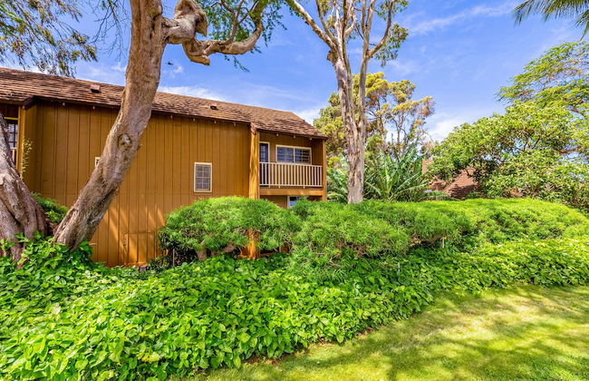 Paniolo Hale - Foto 31