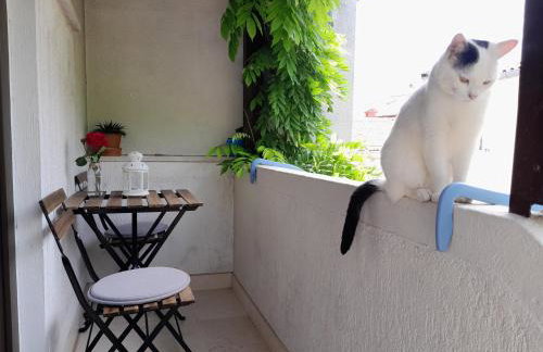 Apartments Renata - Brseč - Foto 48