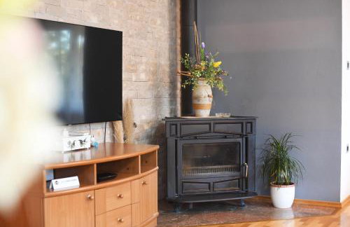 Villa Tinov Dvor - Foto 48