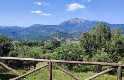 Holiday Country House - Trecchina - Foto 13