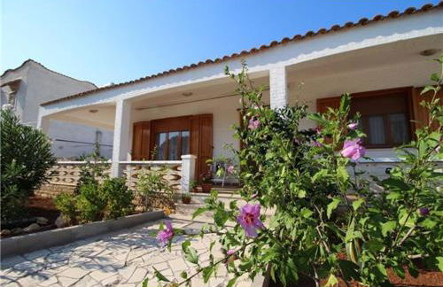 Speroni d'oro - Foto 6