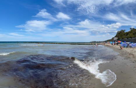 Ostseegarten Nienhagen - Foto 28