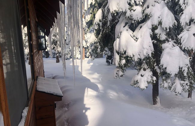 Modern Rustic Retreat - Photo 35