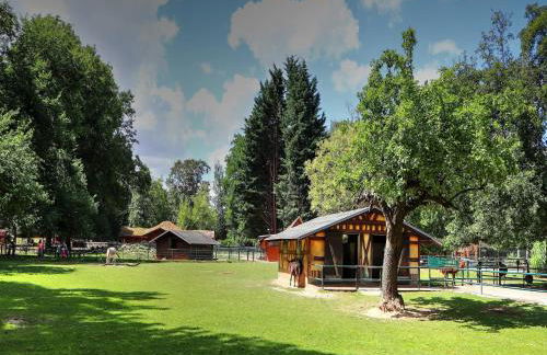 Terrace Apartment Saxony - Foto 29