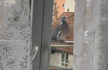 Mieszkanie u Anety na Krótkiej - Foto 8