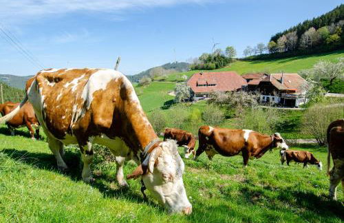 Prinzbachhof - Foto 6