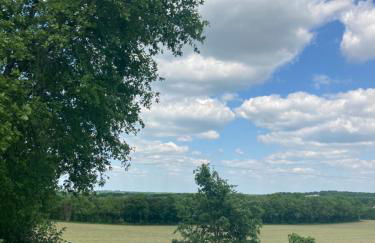 Les fontanelles du quercy blanc - Foto 48