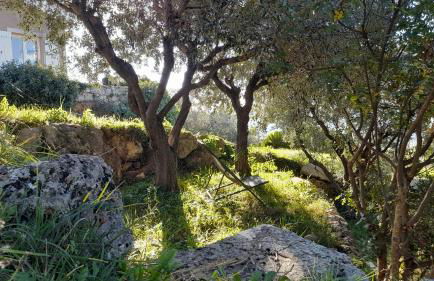 L'Olivaie - Calme, confort et vue imprenable - Foto 21