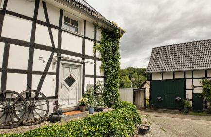 Auszeit & Natur - ländliche Fachwerkhaushälfte - Foto 18