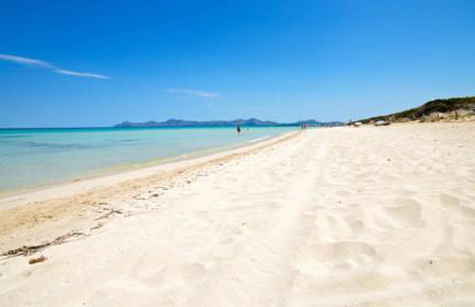 Finca Son Macia, amplia piscina, jardines en Selva, cerca de playas - Foto 52