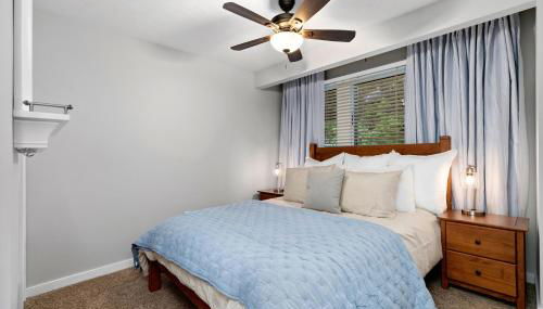 Three Ridges 05 With Wintergreen Advantage - Foto 5