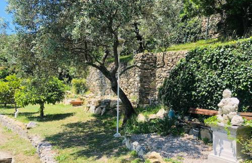 Sea South front property1/2acre.Gardens pool hydro - Foto 21