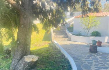 Casa Água - Foto 36