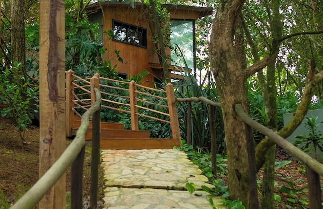 The Grand Forest Jarabacoa - Photo 76