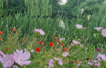 Ferienwohnung am See - Foto 21