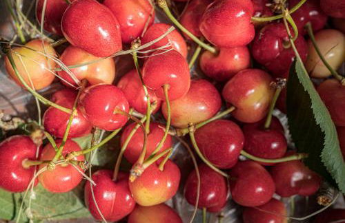 Granducato di Monteballante - Foto 36