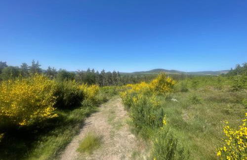 Daisy Cabin - Photo 31