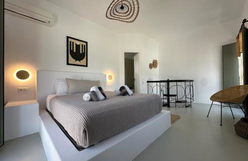 Ammos Andros Accommodation - Photo 19