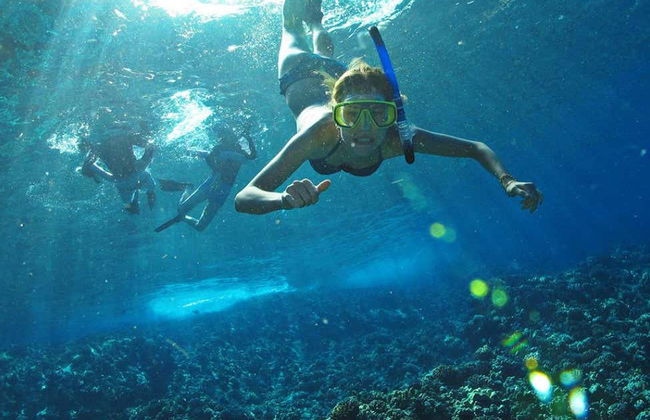 Escursione a Punta Mita e alle isole Marietas - Foto 2