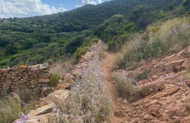 Piana - vue mer et village - Foto 35