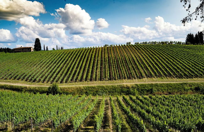 Casa Ruffino - Foto 21