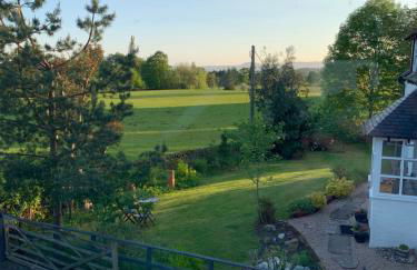 Newton Bothy - Foto 12