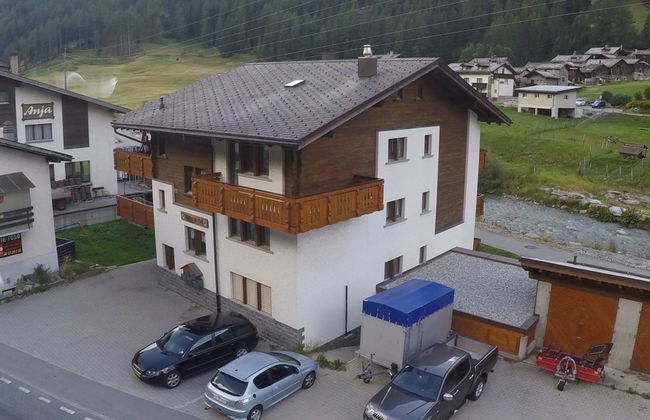 Silberdistel - Foto 4