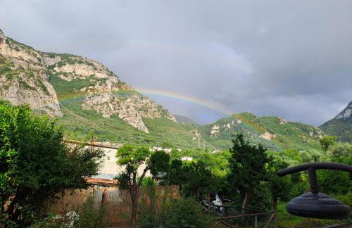 La Coccinella - Photo 13