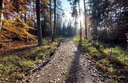 Schillerstüble - Foto 18