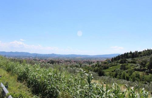 Charming Retreat in Montorsoli - Photo 51
