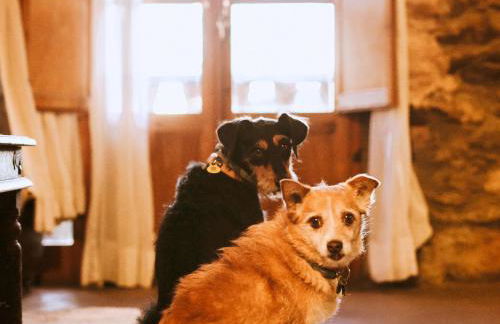 La Pegatera Masia rodeada de bosque ideal para desconectar - Photo 80