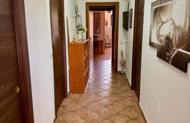 Agriturismo Le Macine-Poggio Cono - Foto 17