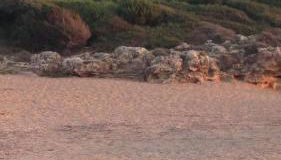 Tzanetos Seaside - Foto 2