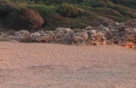 Tzanetos Seaside - Foto 2