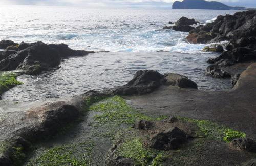 Adega Ilhéu - Photo 44