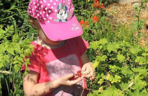 Ferienhof NaturZeit - Foto 14