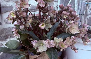 Villa HARMONIE - Foto 22