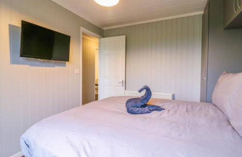 Kingfisher - Foto 17