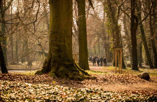 Apartment am Schlosspark - Foto 23