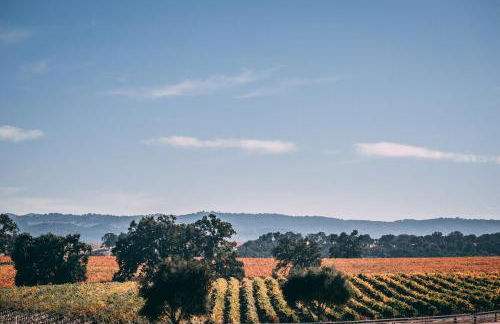 The Hive House at Castoro Cellars - Foto 22