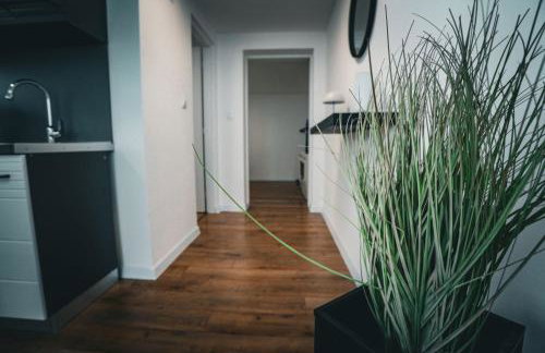 Apartmani Raguž, Ivankovo - Foto 24