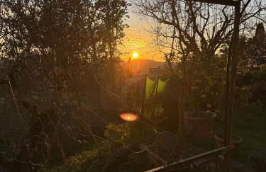 La Limonaia di Vanna - Foto 58