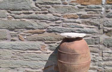 Το πέτρινο, Άνδρος,Μεσαριά - Foto 19