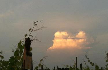 Cascina La Maddalena Bed & Wine - Foto 72