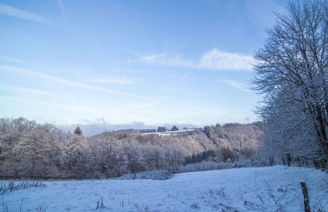 Forestside Escape Near Lake - Photo 38