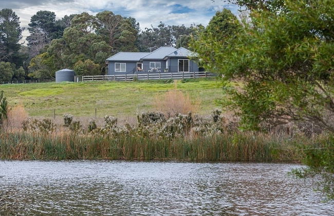 Green Olive at Red Hill - Foto 1